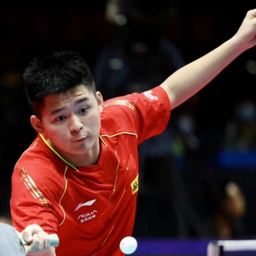 球迷不仅能 球迷不仅能